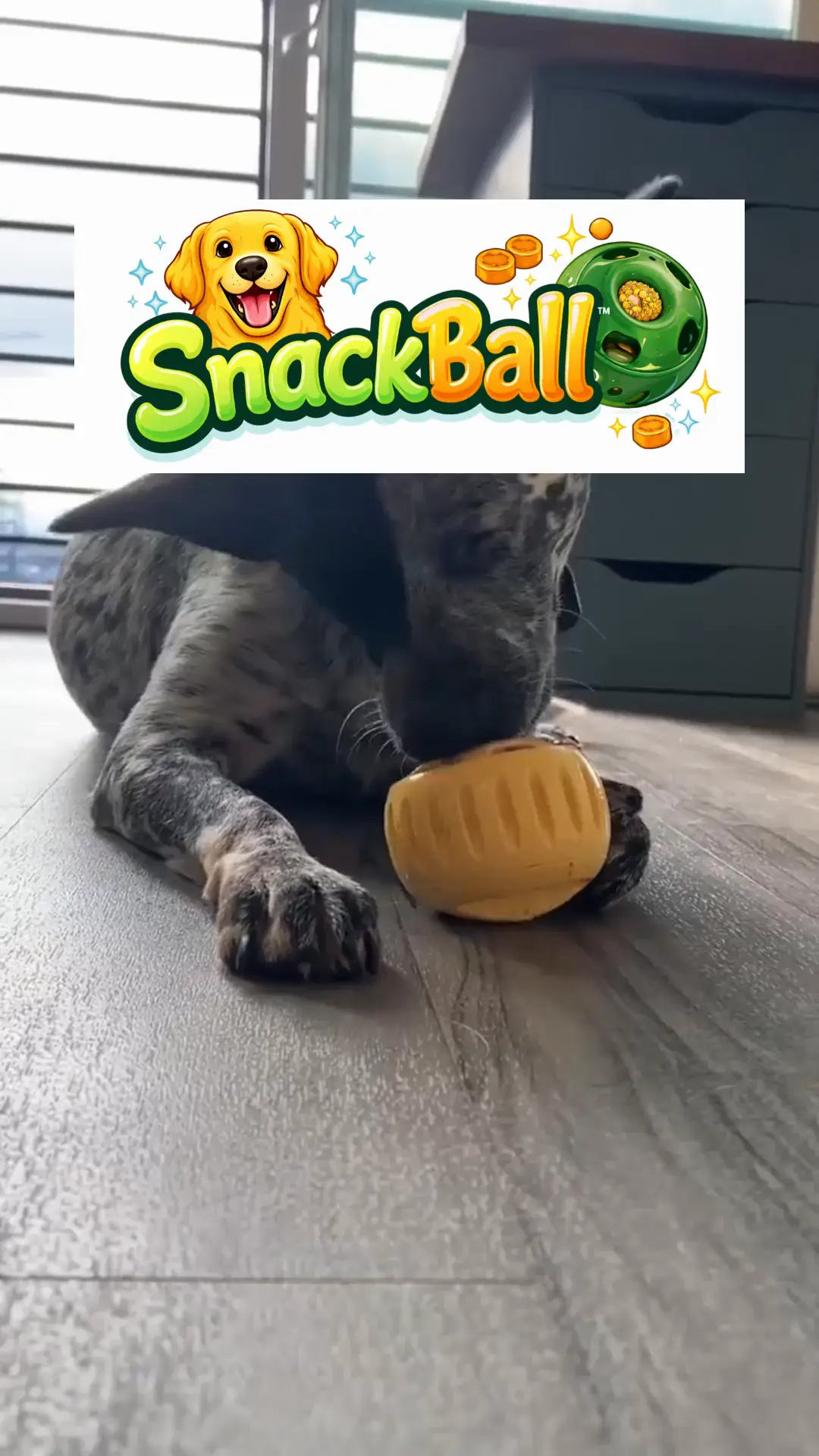 SnackBall™ – Piłka na Smakołyki dla Psa